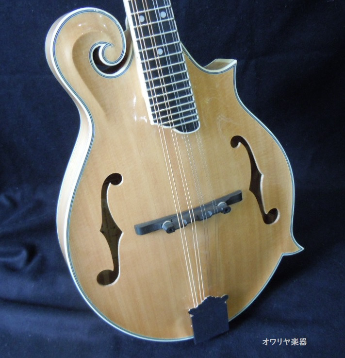 THE KASUGA CUSTOM MODEL M-30 MANDOLIN マンドリン ケース付き 希少品 現状販売 - 楽器、器材